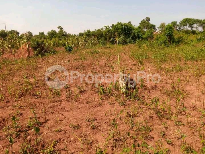 Land for sale Kira road  Kira Wakiso Central - 1