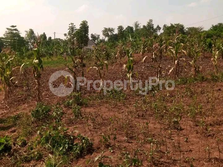 Land for sale Kira road  Kira Wakiso Central - 2