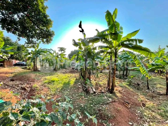 Land for sale Kira road  Kampala Central Kampala Central - 3