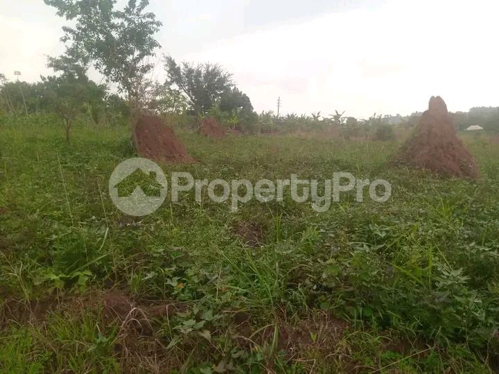 Land for sale Matugga road  Gayaza Wakiso Central - 3