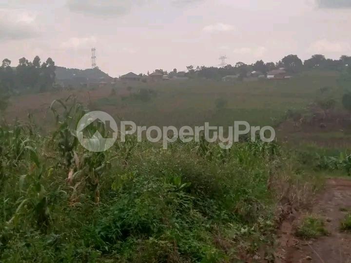 Land for sale Matugga road  Gayaza Wakiso Central - 0