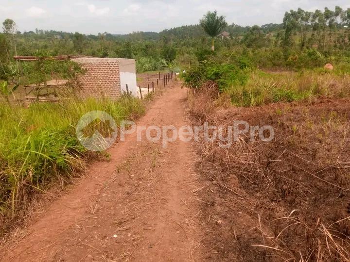 Land for sale Matugga road  Kampala Central - 3