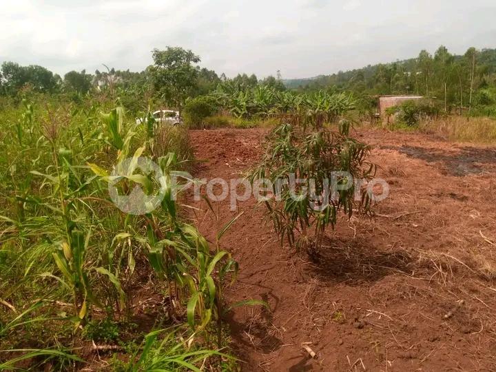 Land for sale Matugga road  Kampala Central - 4