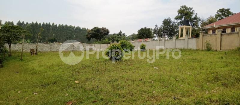 Land for sale Namugongo jogo town  Goma Mukono Central - 3