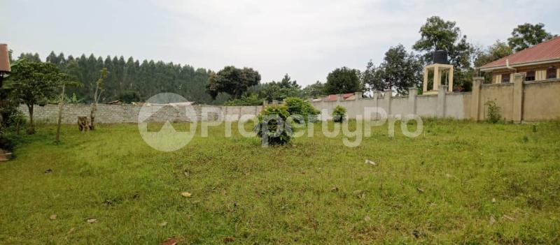 Land for sale Namugongo jogo town  Goma Mukono Central - 6