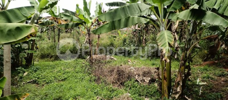 Land for sale Namugongo sonde hill view estate  Goma Mukono Central - 3