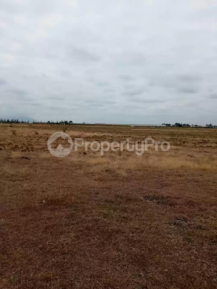 Land for sale Juja Kiambu