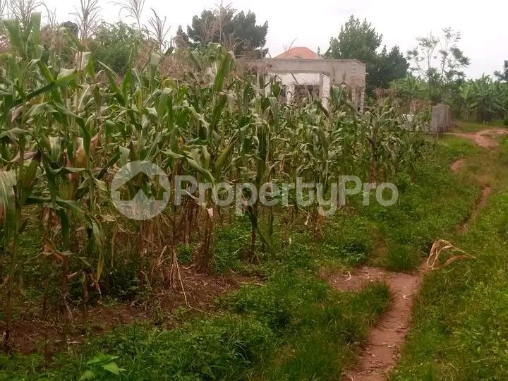 Land for sale Mutuga  Gayaza Wakiso Central - 2