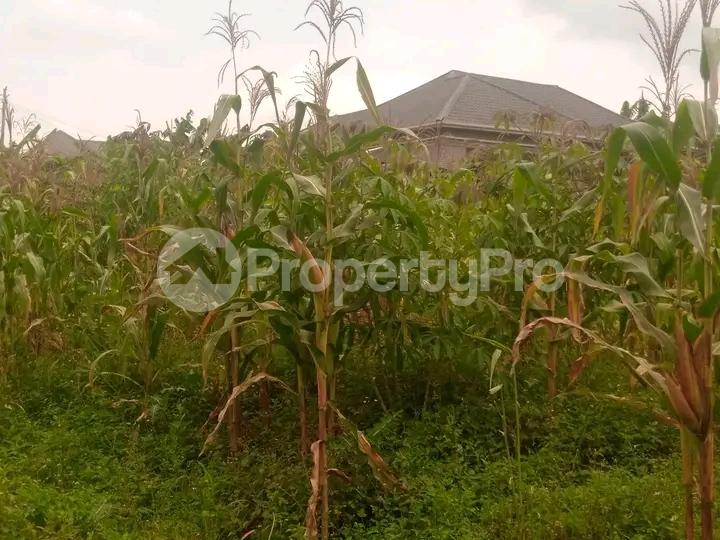 Land for sale Mutuga  Gayaza Wakiso Central - 4