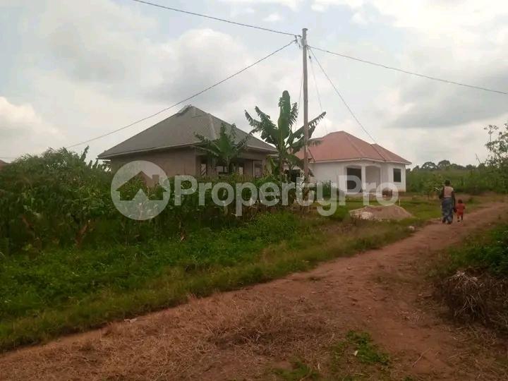 Land for sale Mutuga  Gayaza Wakiso Central - 3