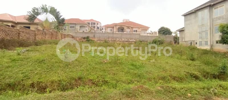 Land for sale Kira nsasa road  Kira Wakiso Central - 3