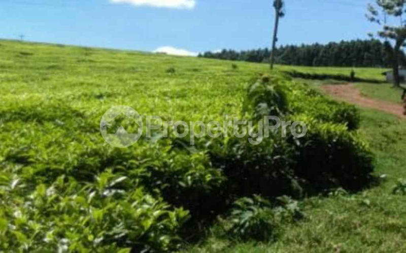 Land for sale Limuru Central Kiambu