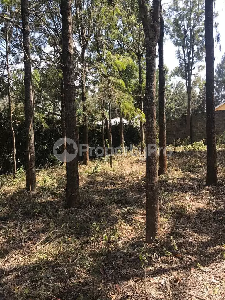 Land for sale Ngong Kajiado