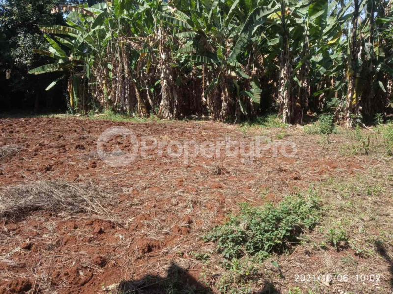 Land for sale Runda Nairobi
