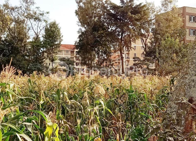 Land for sale Uthiru Kiambu - 0