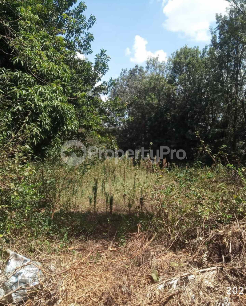 Land for sale Runda Nairobi