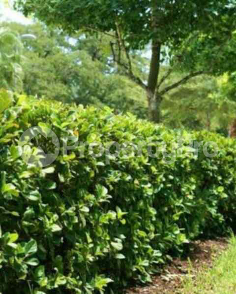 Land for sale Runda Nairobi