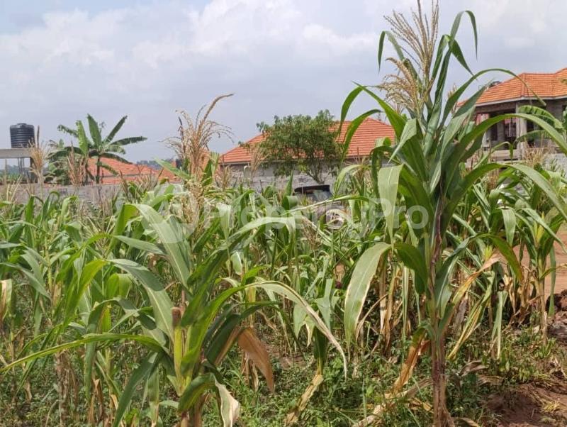 Land for sale Kira nsasa road  Kira Wakiso Central - 0