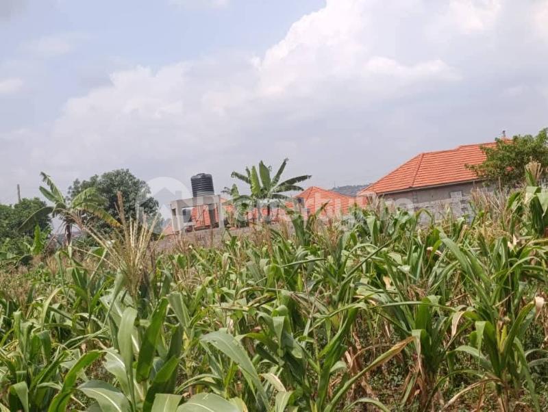 Land for sale Kira nsasa road  Kira Wakiso Central - 4