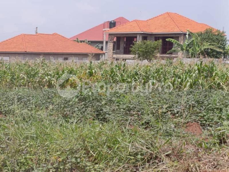 Land for sale Kira nsasa road  Kira Wakiso Central - 2