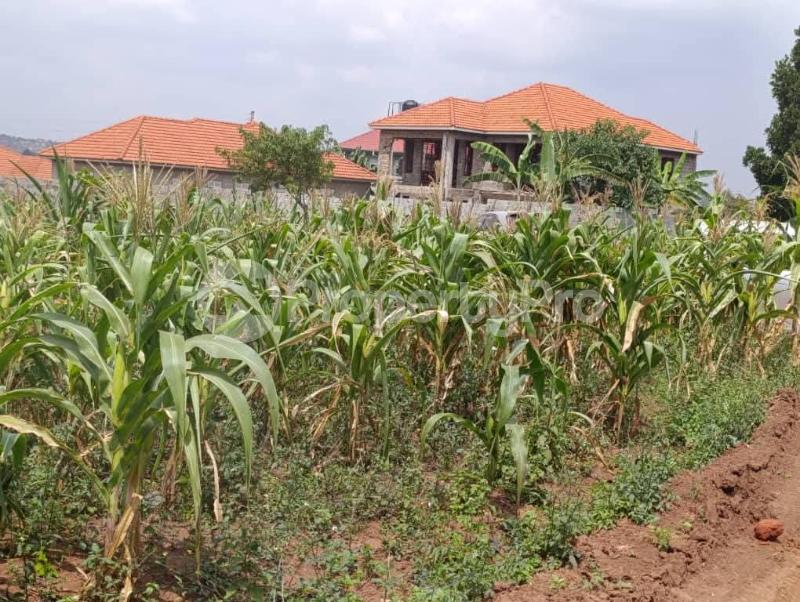 Land for sale Kira nsasa road  Kira Wakiso Central - 3