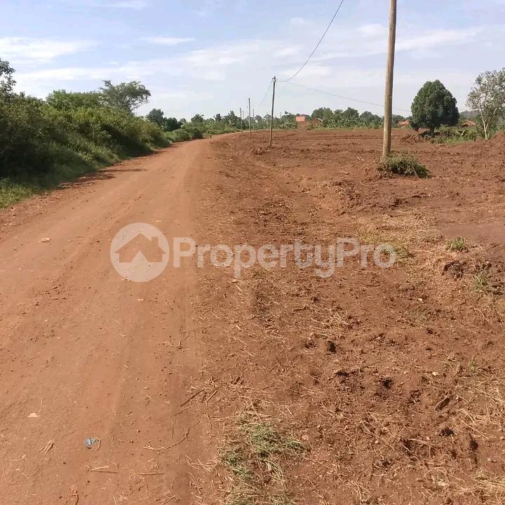 Land for sale Namugongo  Kampala Central Kampala Central - 3
