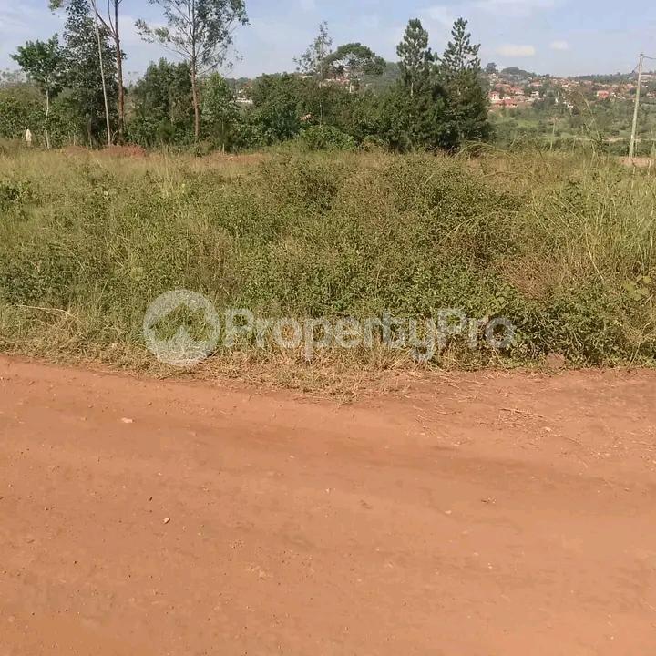 Land for sale Namugongo  Kampala Central Kampala Central - 5