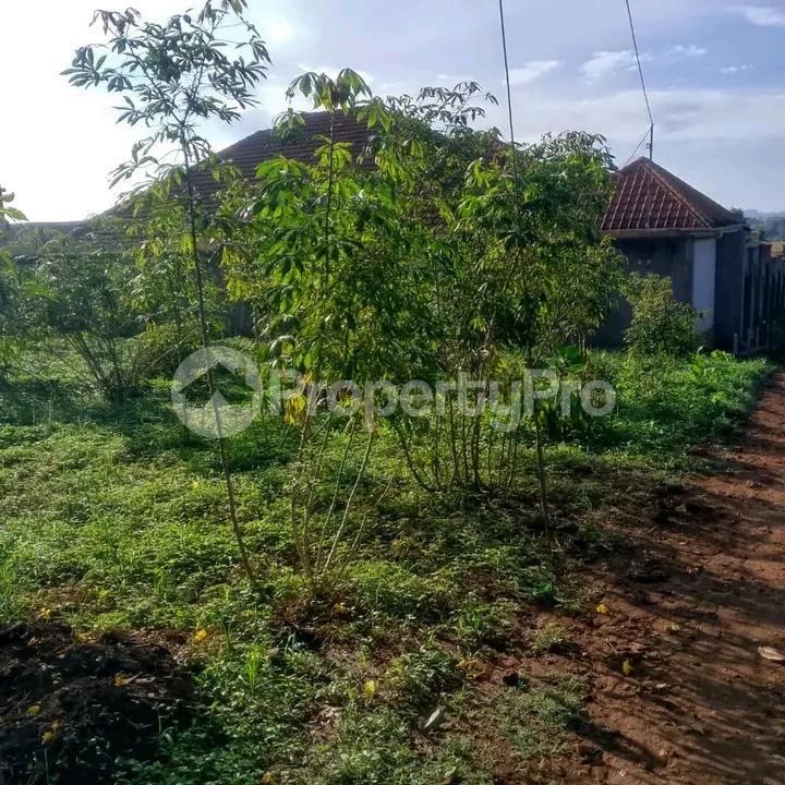 Land for sale Sonde  Kampala Central Kampala Central - 4