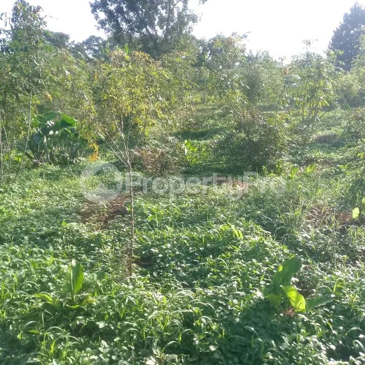 Land for sale Sonde  Kampala Central Kampala Central - 5