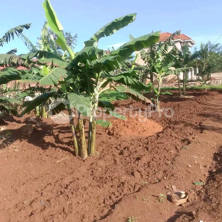 Land for sale Sonde  Kampala Central Kampala Central - 2