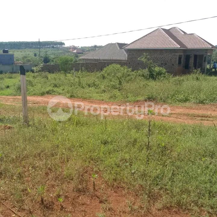 Land for sale Bukerere kagala Kampala Central Kampala Central - 3
