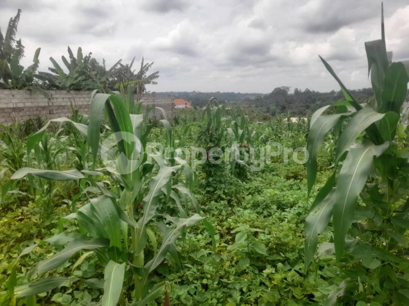 Land for sale gayaza mawule Gayaza Wakiso Central - 5