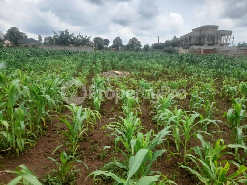 Land for sale gayaza mawule Gayaza Wakiso Central - 2