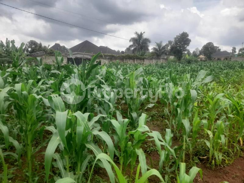 Land for sale gayaza mawule Gayaza Wakiso Central - 3