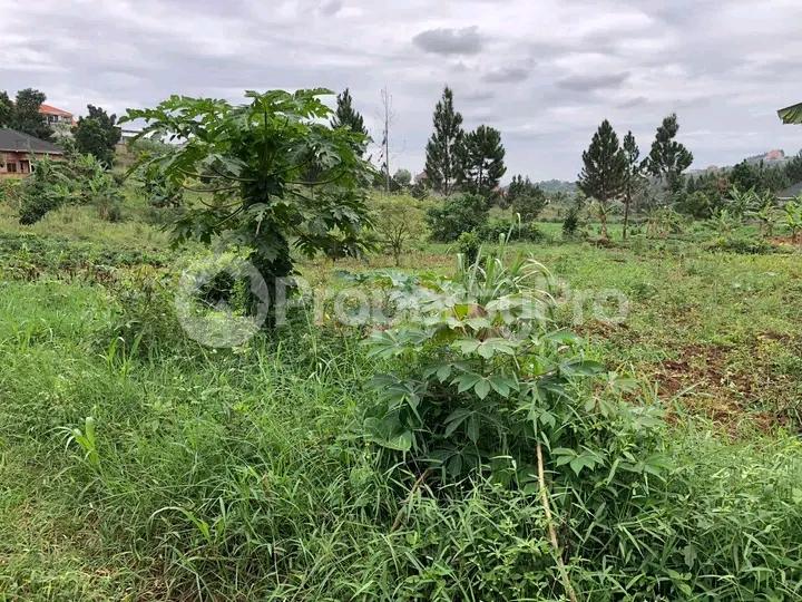 Land for sale Namugongo  Wakiso Central - 4