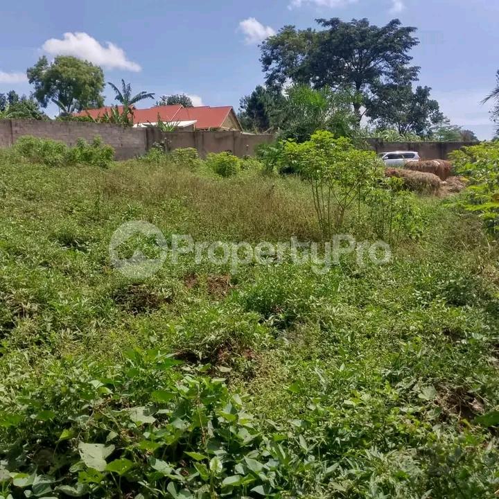 Land for sale Namugongo  Wakiso Central - 3