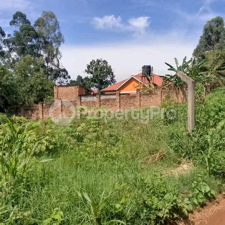 Land for sale Namugongo  Wakiso Central - 4