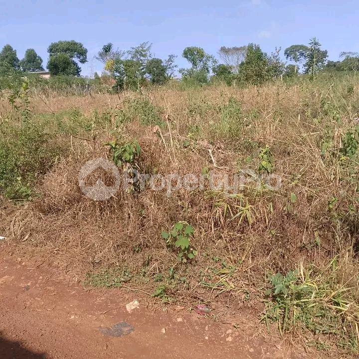 Land for sale Namugongo joggo Kampala Central Kampala Central - 2
