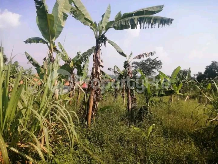 Land for sale Kira kitukutwe  Kira Wakiso Central - 1