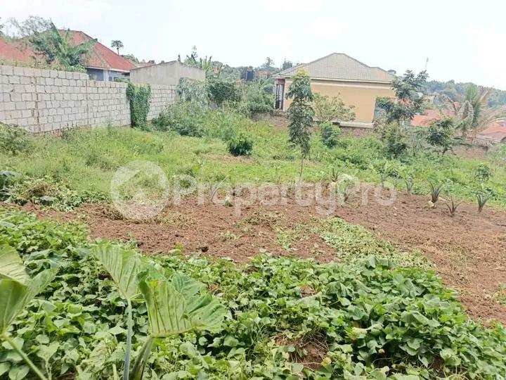 Land for sale Kira kitukutwe  Kira Wakiso Central - 6