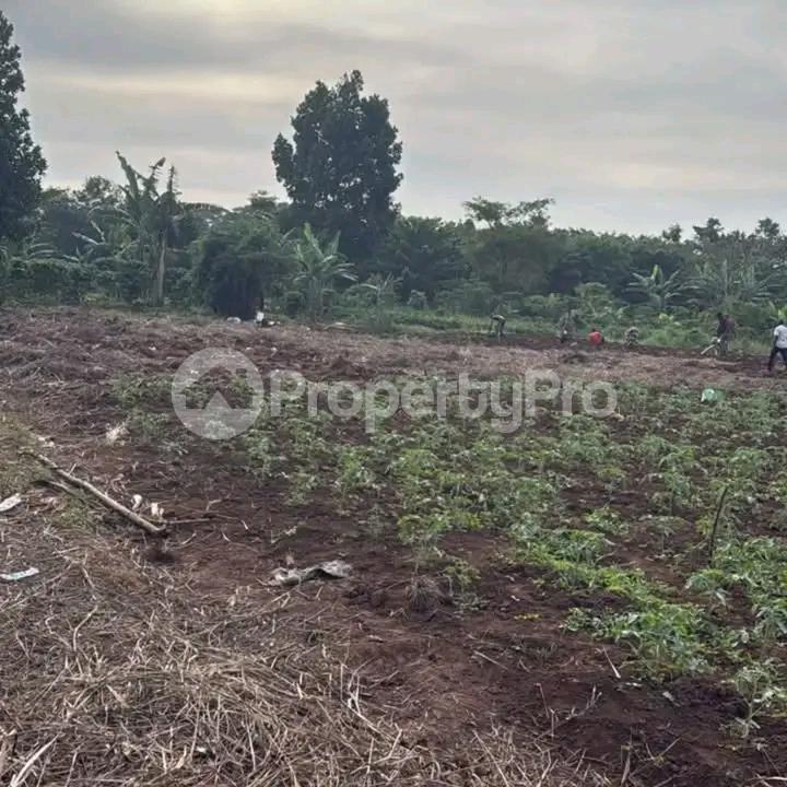 Land for sale Kira  Kampala Central Kampala Central - 5
