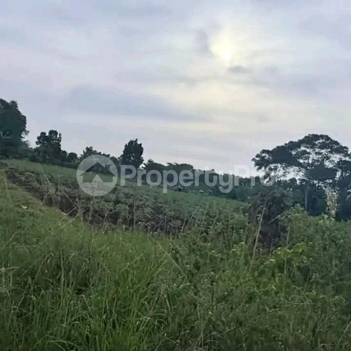 Land for sale Kira  Kampala Central Kampala Central - 0