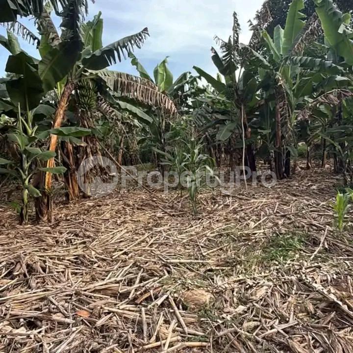 Land for sale Kira  Kampala Central Kampala Central - 4