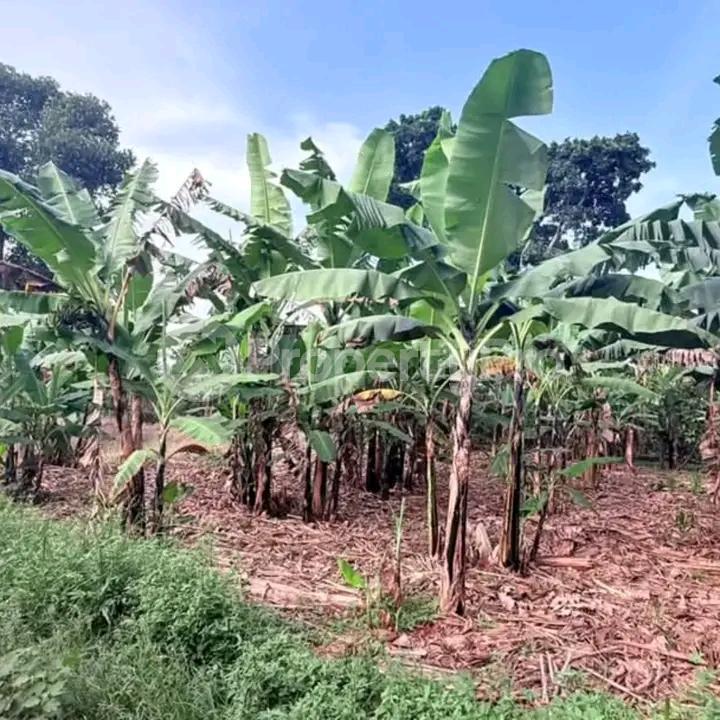 Land for sale Kira  Kampala Central Kampala Central - 2