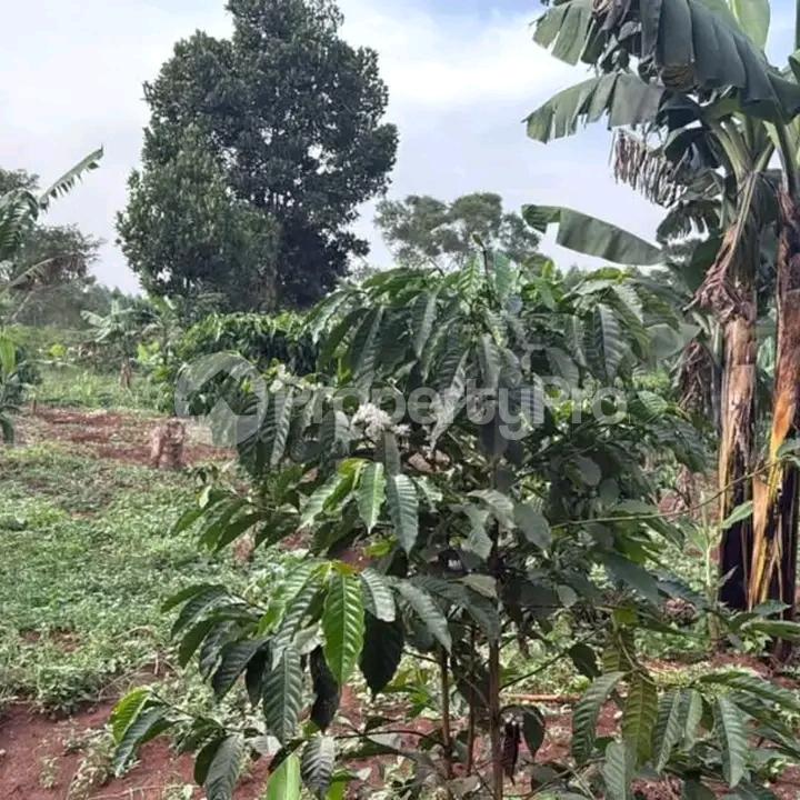 Land for sale Kira  Kampala Central Kampala Central - 3