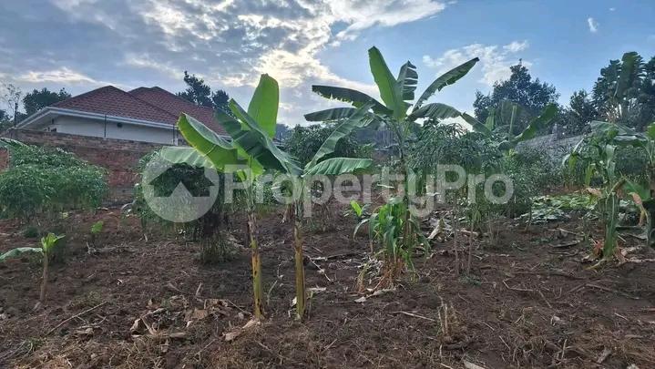 Land for sale Kira road  Kampala Central Kampala Central - 0