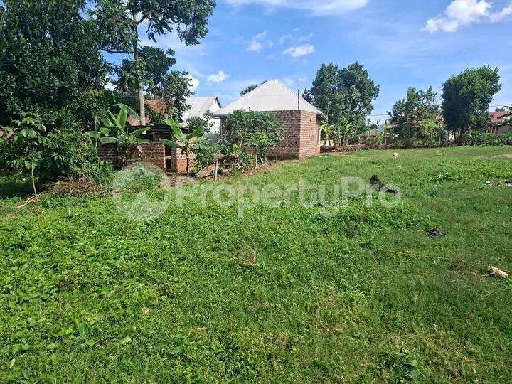 Land for sale Najjera buwaate  Kampala Central Kampala Central - 5