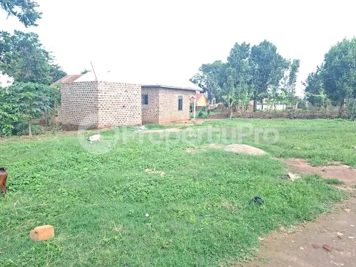 Land for sale Najjera buwaate  Kampala Central Kampala Central - 2