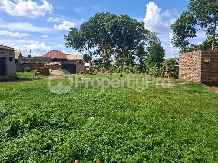 Land for sale Najjera buwaate  Kampala Central Kampala Central - 6