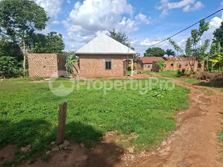 Land for sale Najjera buwaate  Kampala Central Kampala Central - 3